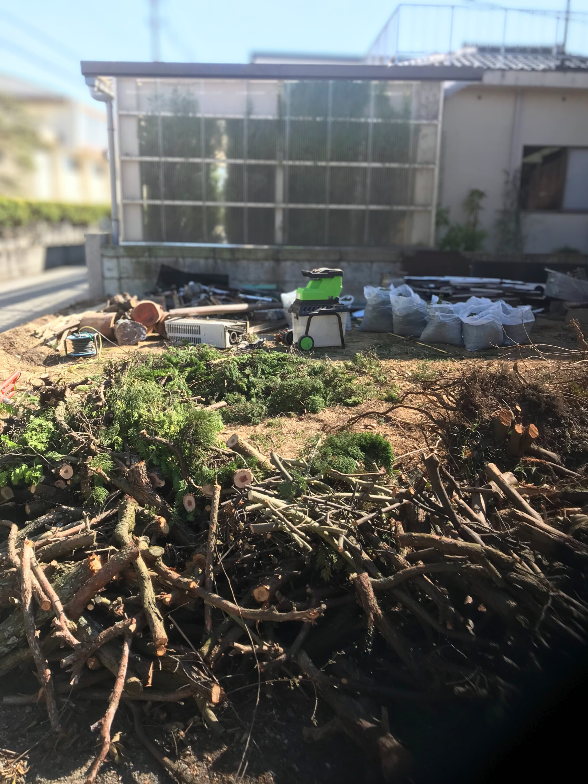 庭木伐採・抜根工事